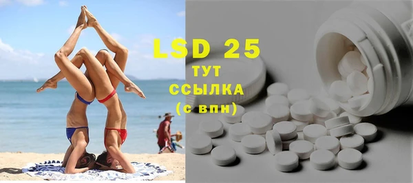 ГАЛЛЮЦИНОГЕННЫЕ ГРИБЫ Арсеньев