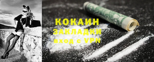 спайс Богданович