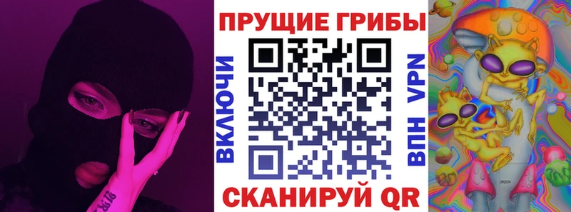 Псилоцибиновые грибы GOLDEN TEACHER  как найти закладки  Волгодонск 