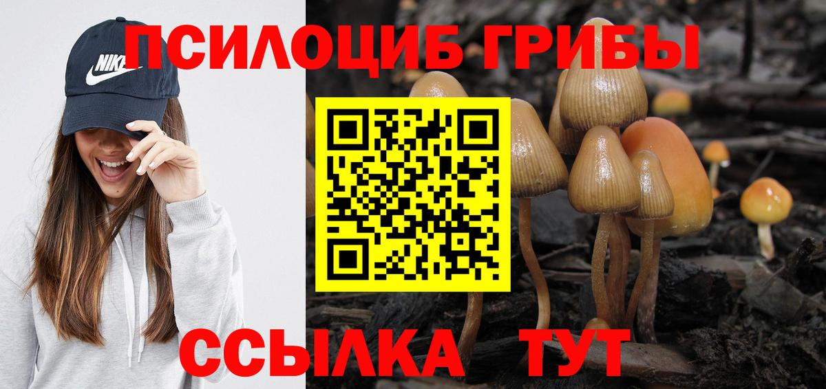 Псилоцибиновые грибы Cubensis Волгодонск
