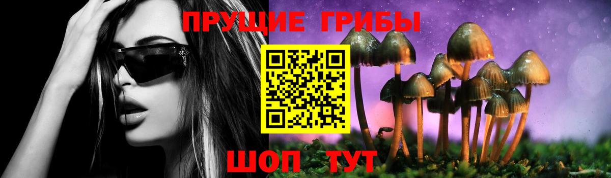 хочу наркоту  Галлюциногенные грибы мухоморы  Вход с VPN  Псилоцибиновые грибы Magic Shrooms  Волгодонск 